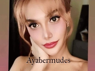 Ayabermudes