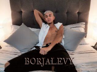 BORJALEVY