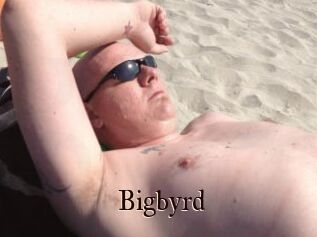 Bigbyrd