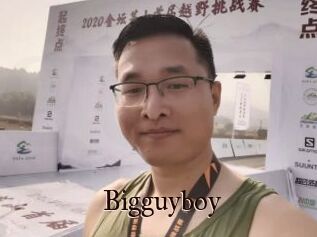Bigguyboy