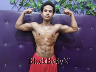 BlackBodyX