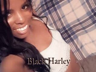 Black_Harley