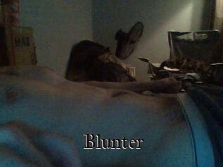 Blunter