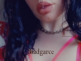 Badgarce