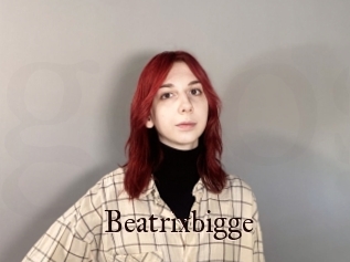 Beatrixbigge