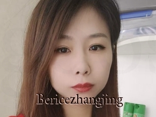 Bericezhangjing