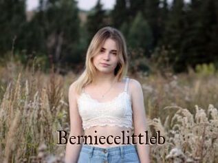 Berniecelittleb