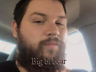 Big_bi_bear