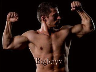 Bigboyx