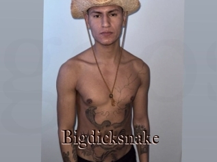 Bigdicksnake