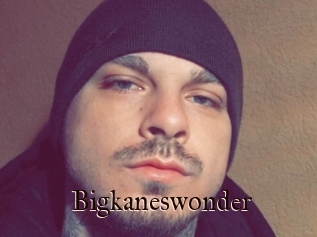 Bigkaneswonder