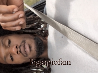 Bigsapiofam