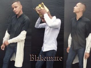 Blakemate