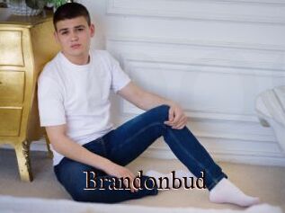 Brandonbud