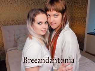 Breeandantonia