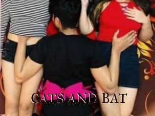 CATS_AND_BAT