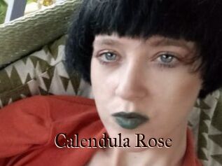 Calendula_Rose