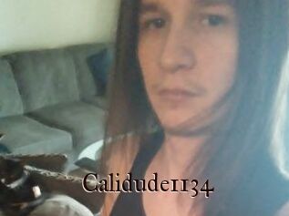 Calidude1134