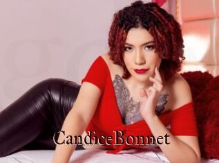 CandiceBonnet