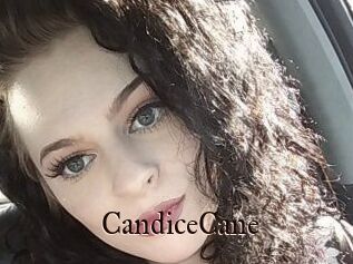 Candice_Cane