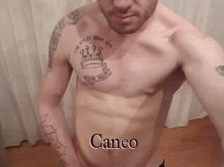 Caneo