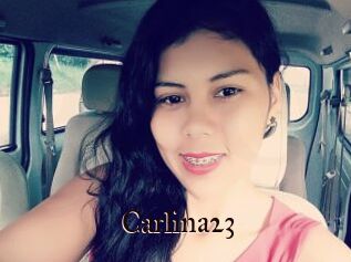 Carlina23