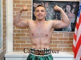 CarlitoBoxer