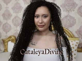 CataleyaDivine