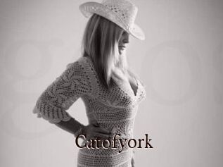 Catofyork