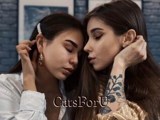 CatsForU