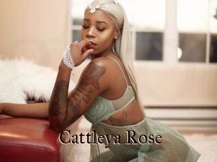 Cattleya_Rose