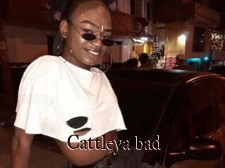 Cattleya_bad