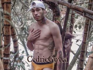 CedricGovea