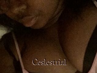 Ceslestrial