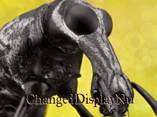 ChangedDisplayNu