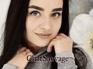 ChatSauvage