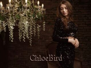 ChloeBird