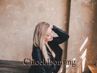Chloeblooming