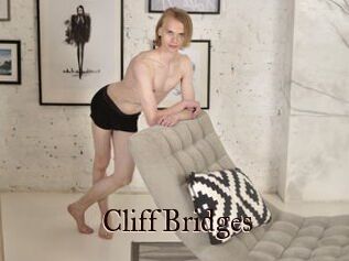 CliffBridges