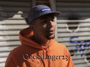 Cockslanger23