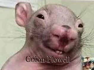 Colon_Plowell