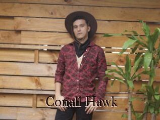 Conall_Hawk