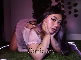 Conie_fox