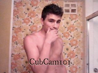 CubCam101