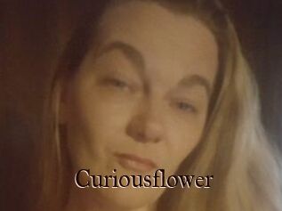 Curiousflower