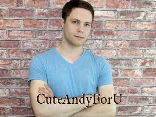 CuteAndyForU