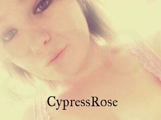 Cypress_Rose