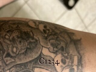 C1234