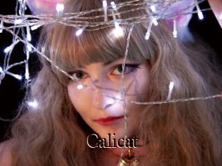 Calicat