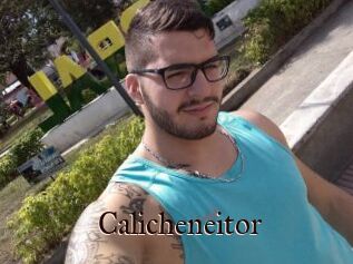 Calicheneitor